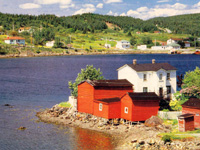 Featured Image