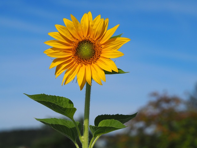 Featured Image