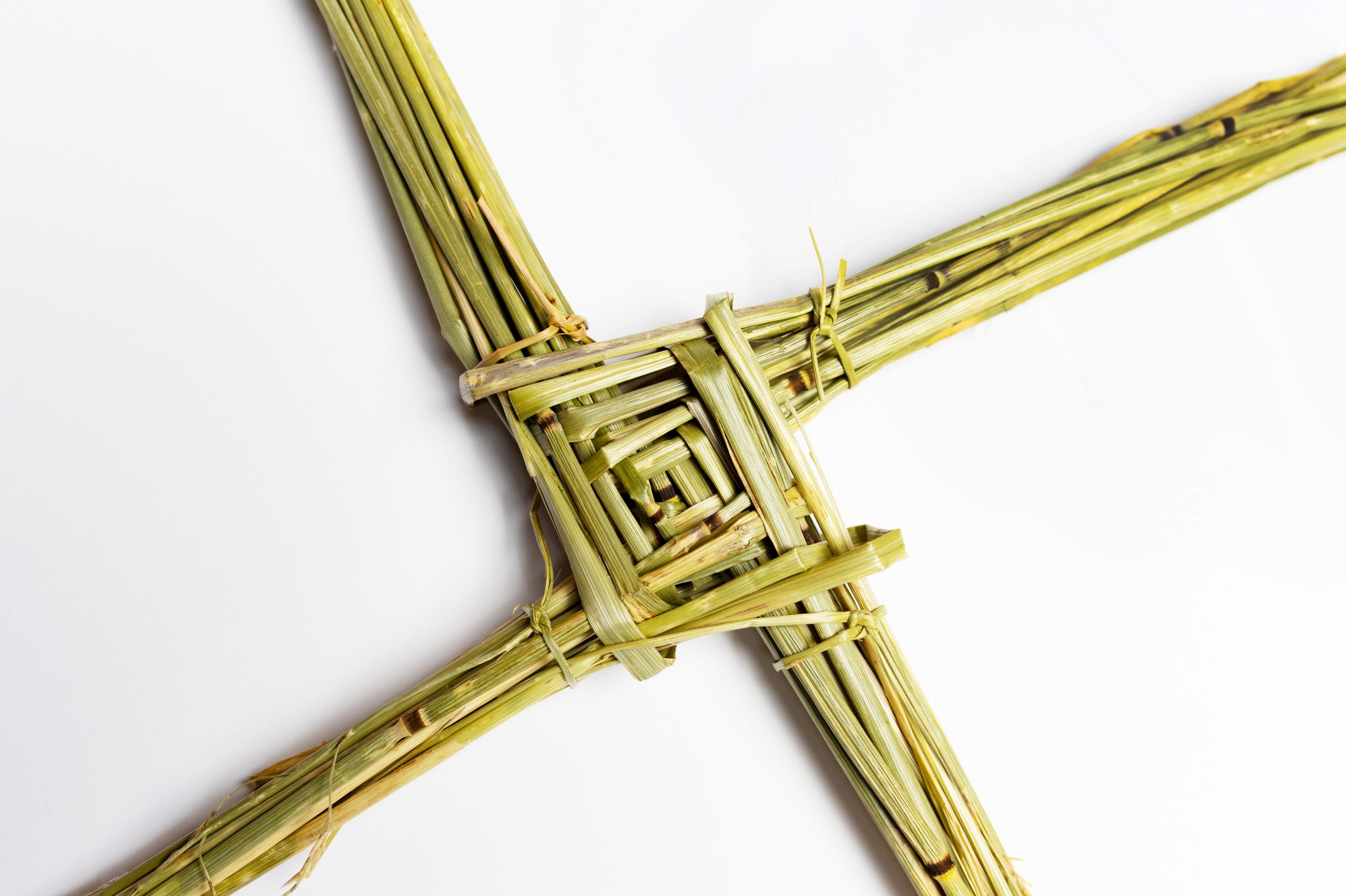 Brigid of Ireland
